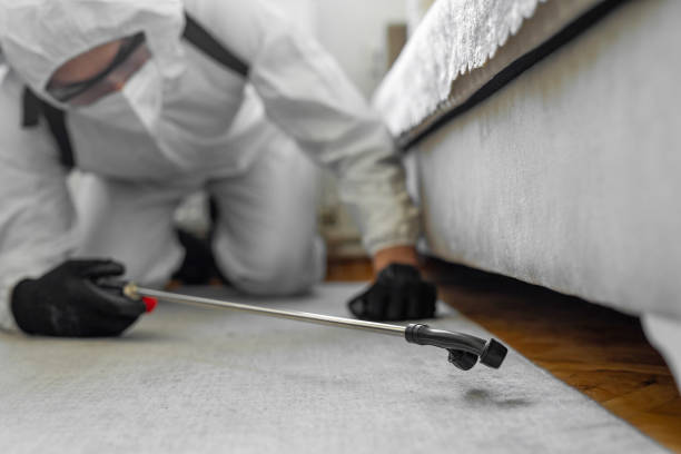 Professional Termite Control technician working in Albertville, MN
