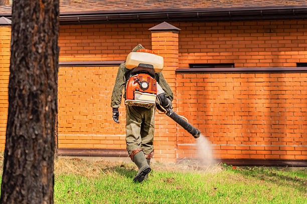 Top rated local Termite Control specialists in Albertville, MN